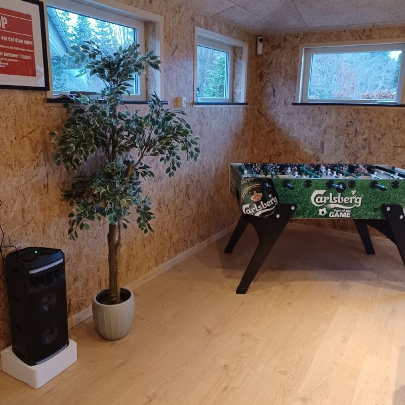 Ferienhaus 389