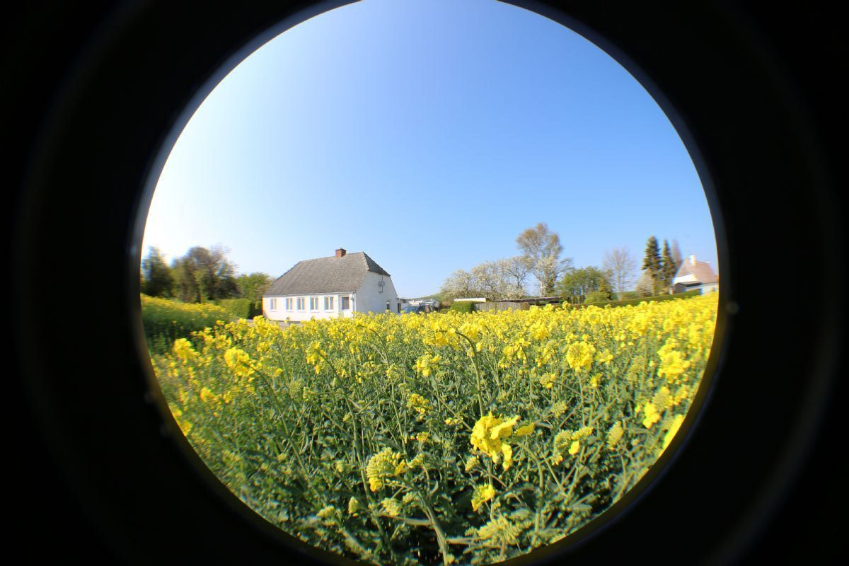 Gemütliches Ferienhaus eine kleine Oase mitten in der Landschaft Fünen.