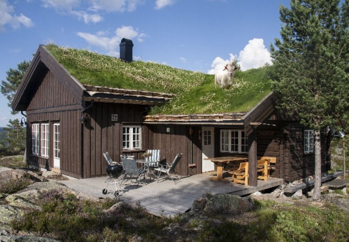 Ferienhaus 5915