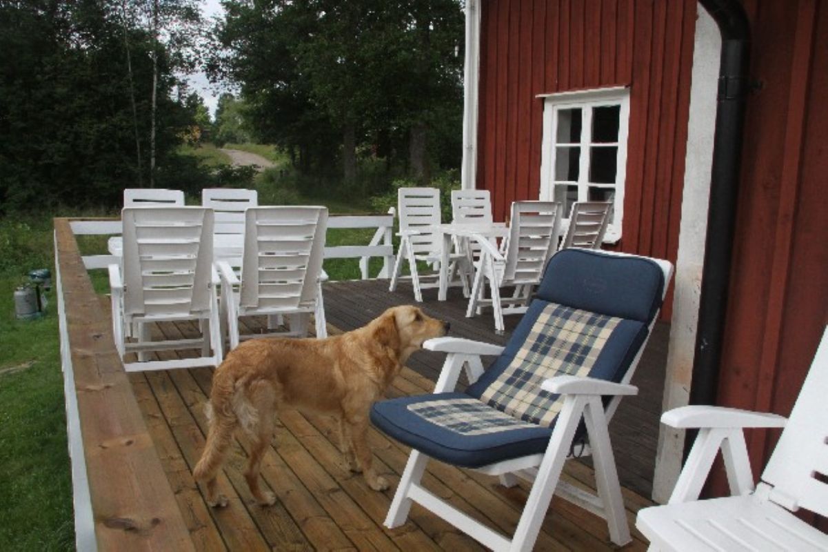 Ferienhaus 9086