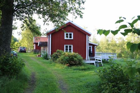 Peaceful summerhouse in the middle of a beautiful swedish forrest