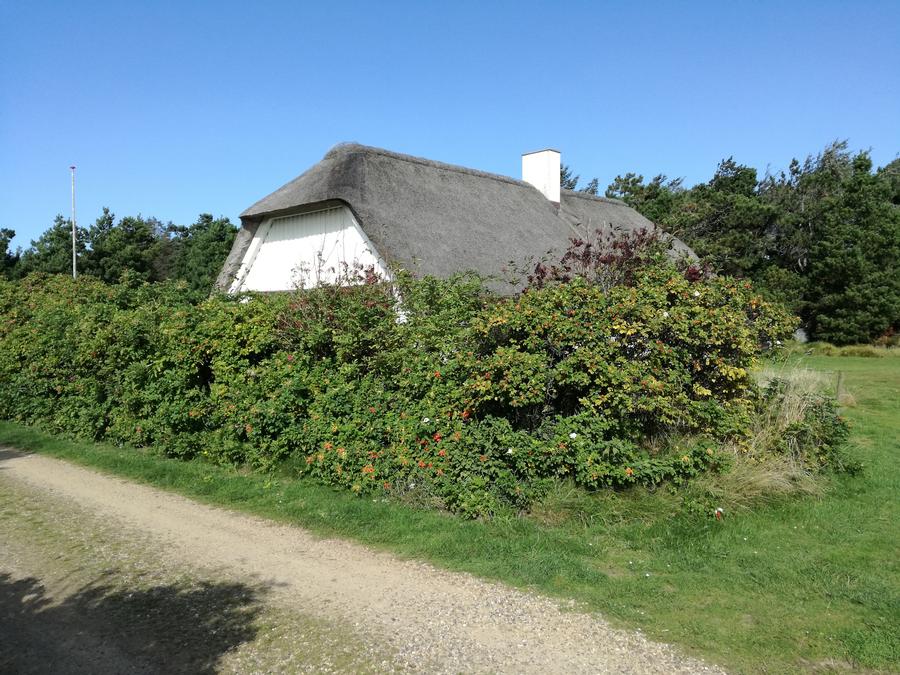 Veders� - Nordsee (500 m), 112 m2 gro�es, neu gedecktes Backsteinhaus f�r 6 Personen. Ruhige Lage auf 2200 m2 Grundst�ck, mit �berdachung und gro�er Rasenfl�che vor dem Haus. M�glichkeit vieler Aktivit�ten auf dem Gel�nde.